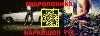 спиды Вышний Волочёк