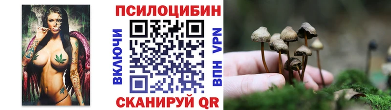Галлюциногенные грибы Psilocybine cubensis  Аша 