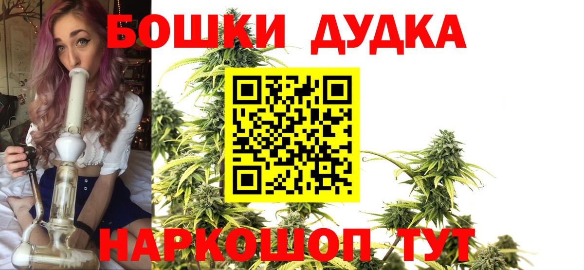 Бошки Шишки план Аша